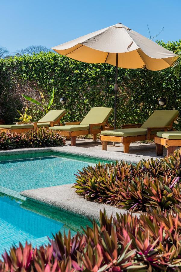 Nautilus Surf & Yoga Villas Santa Teresa Playa Santa Teresa  Exteriör bild