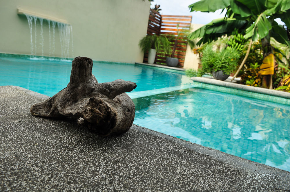 Nautilus Surf & Yoga Villas Santa Teresa Playa Santa Teresa  Exteriör bild